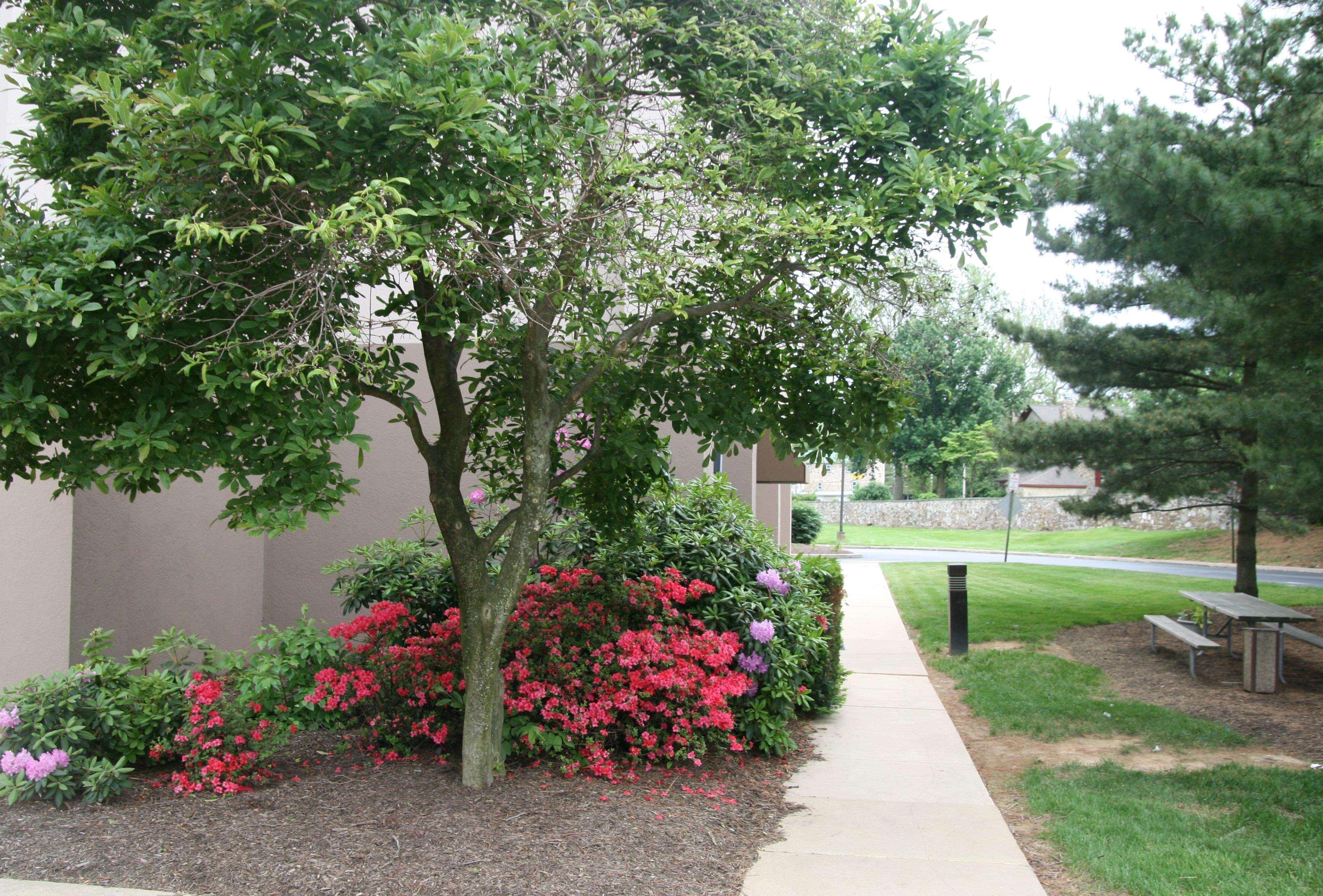 Hampton Inn Downingtown/Exton Exterior foto